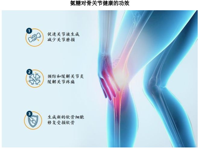 根运动健康赛道凭多元布局赢长远未来开元棋牌HMB全球龙头技源集团：扎(图1)