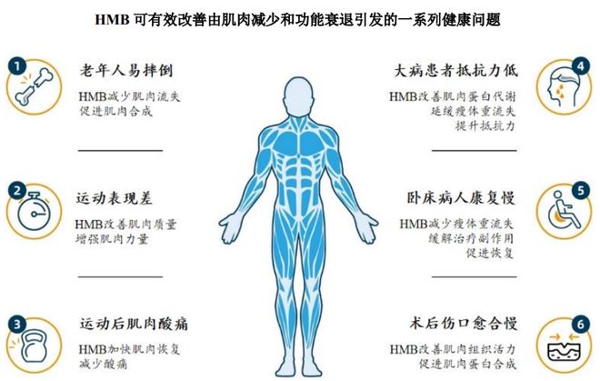 根运动健康赛道凭多元布局赢长远未来开元棋牌HMB全球龙头技源集团：扎(图8)