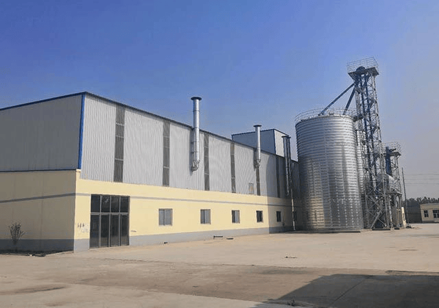 领衔猫粮狗粮猫粮狗粮全价全价成成犬粮幼幼犬粮无谷粮十大科学营养配开元ky棋牌20