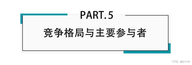 ：新家庭结构的消费镜像开元棋牌试玩宠物经济(图3)