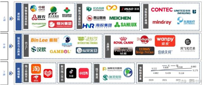 ：新家庭结构的消费镜像开元棋牌试玩宠物经济(图12)